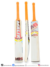 MBS Pro Edition Cricket Bat