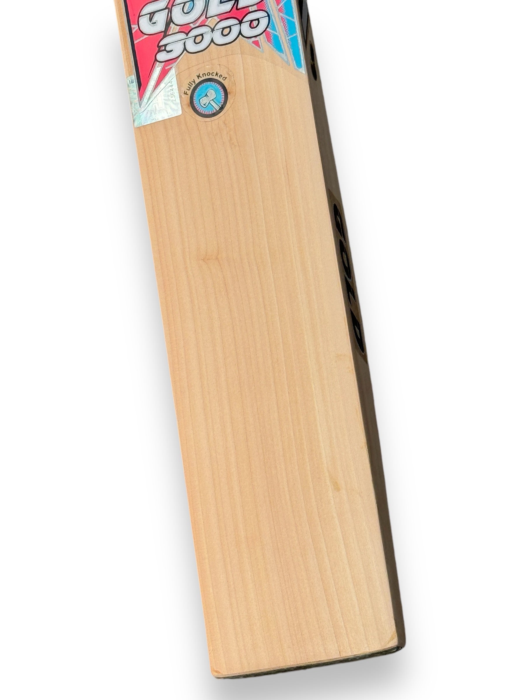 CA Gold 3000 Cricket Bat