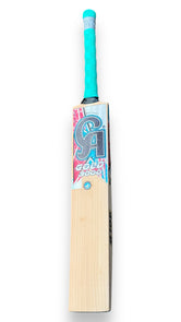 CA Gold 3000 Cricket Bat