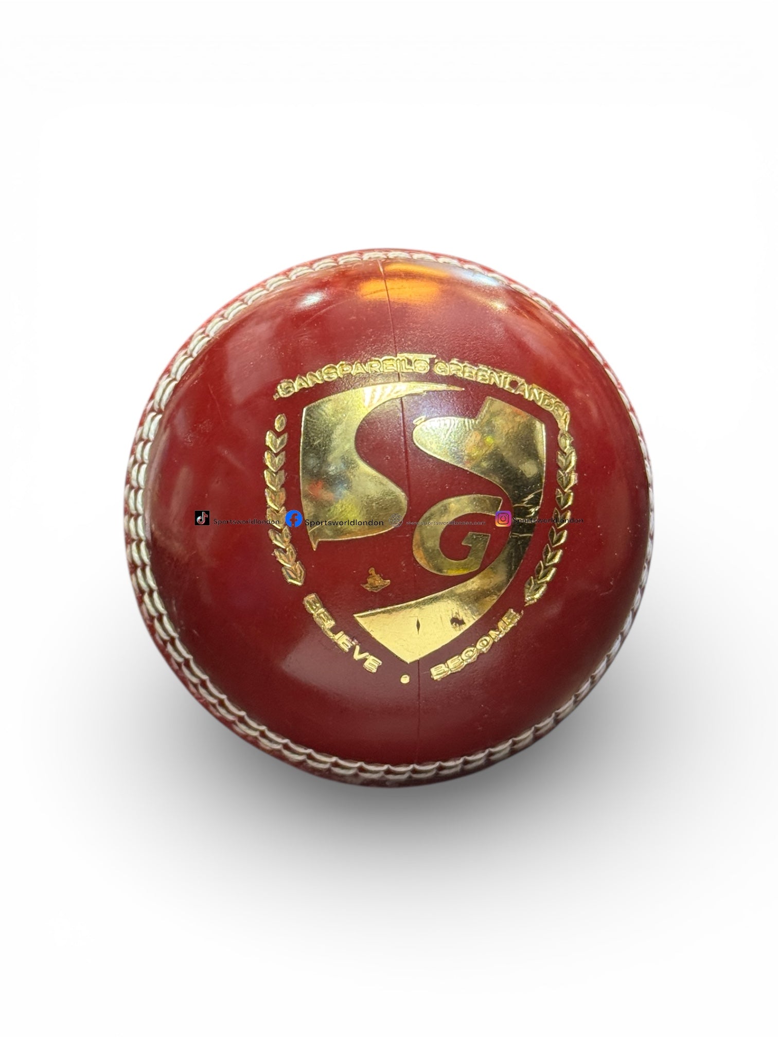 SG Super 50 Leather Cricket Ball Senior